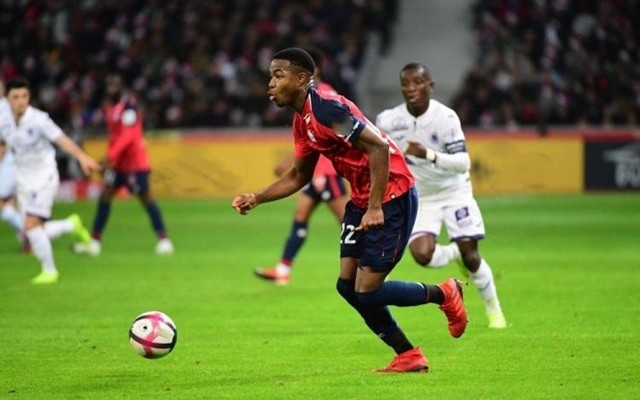 在凯尔的框 在凯尔的框