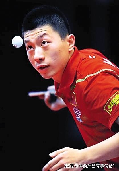 典型载体 典型载体