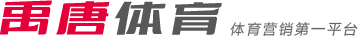 第三集团